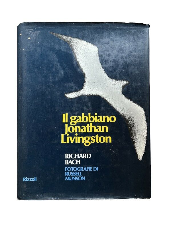 Il gabbiano Jonathan Livingston-Photoroom