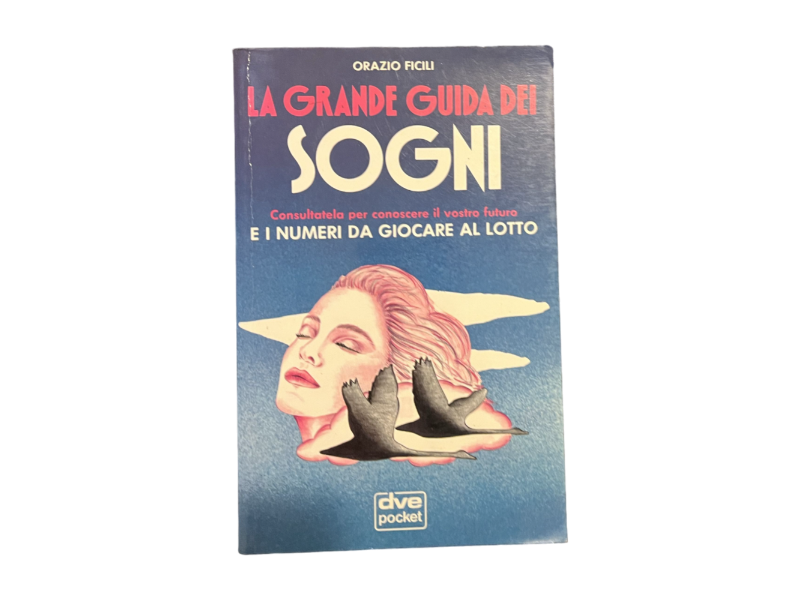 la grande guida dei sogni