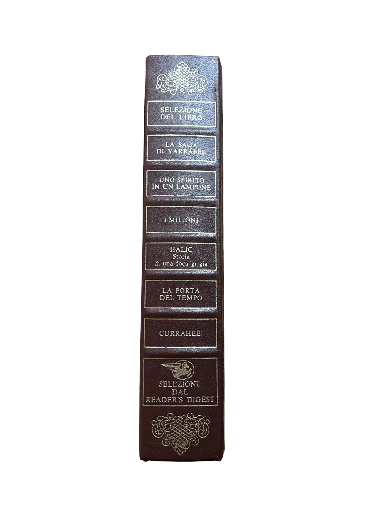 la saga di yarrabee – uno spirito di un lampone – i milioni – halic – la porta del tempo – currahee!