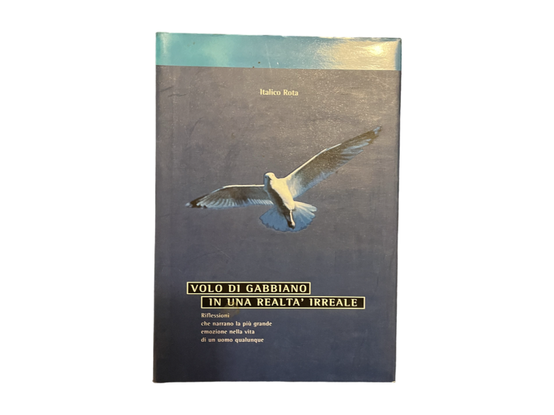 volo di gabbiano in una realtà irreale